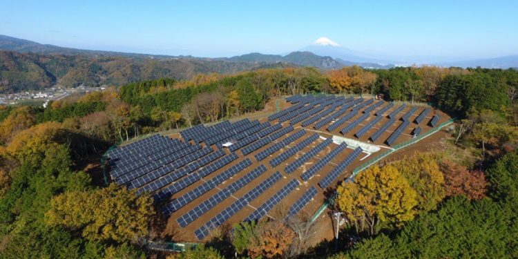 Solar Field
