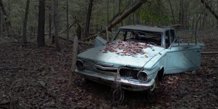 Dumped Car in forest